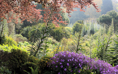 Ventnor Botanic Garden