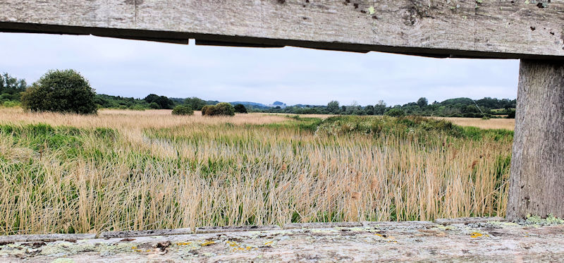 Isle of Wight Brading Marsh